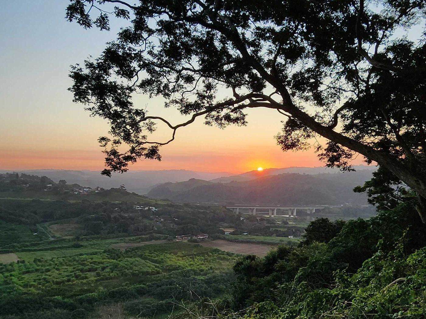 Sunset framed by an old tree above the valley